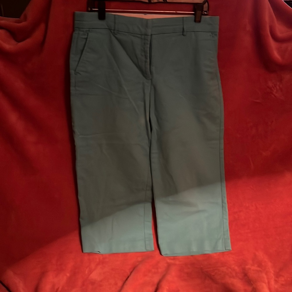 Brigg’s New York Teal Capri Pants